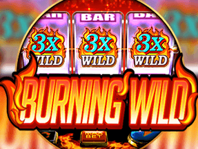 Burning Wild game thumbnail